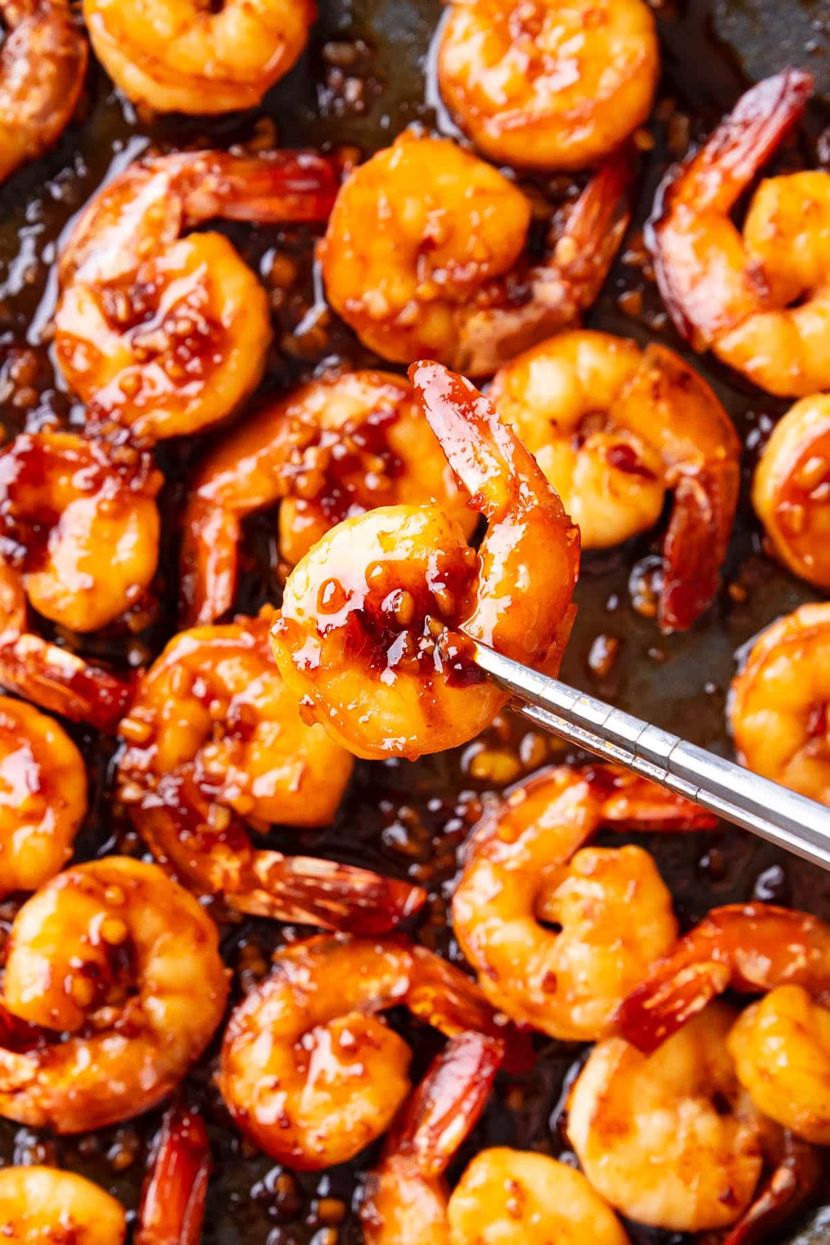 Someone holding up one shrimp with chopsticks to show it perfectly cooked and juicy.