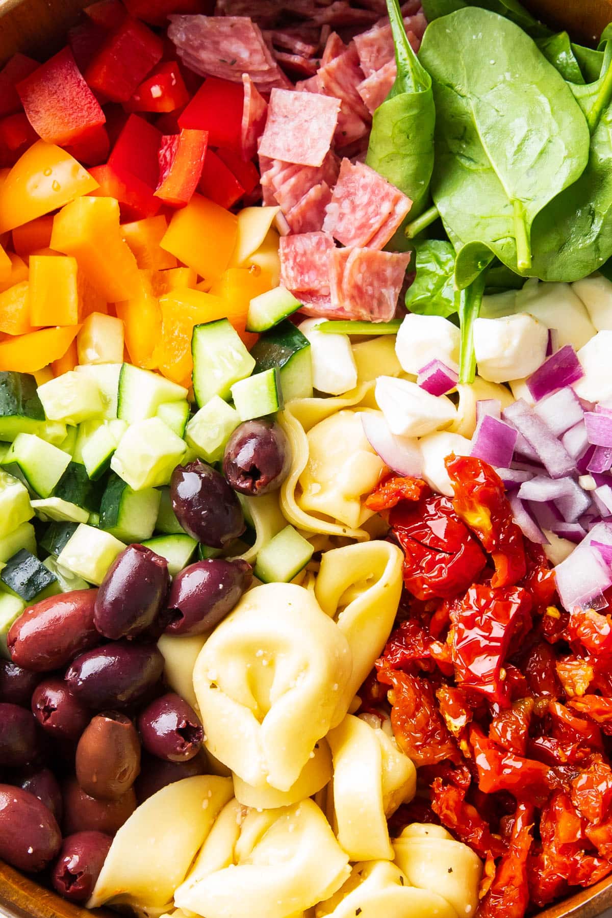 Close up tortellini pasta salad recipe ingredients - plump cheese tortellini, sun-dried tomatoes, salami, and veggies coated in Italian dressing.