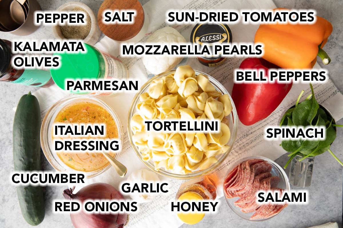 Easy Tortellini Pasta Salad ingredients - Italian dressing, cheese tortellini, mozzarella pearls, sun-dried tomatoes, bell peppers, salami, Parmesan, honey, cucumbers, spinach, garlic, red onion, Kalamata olives, salt and pepper.