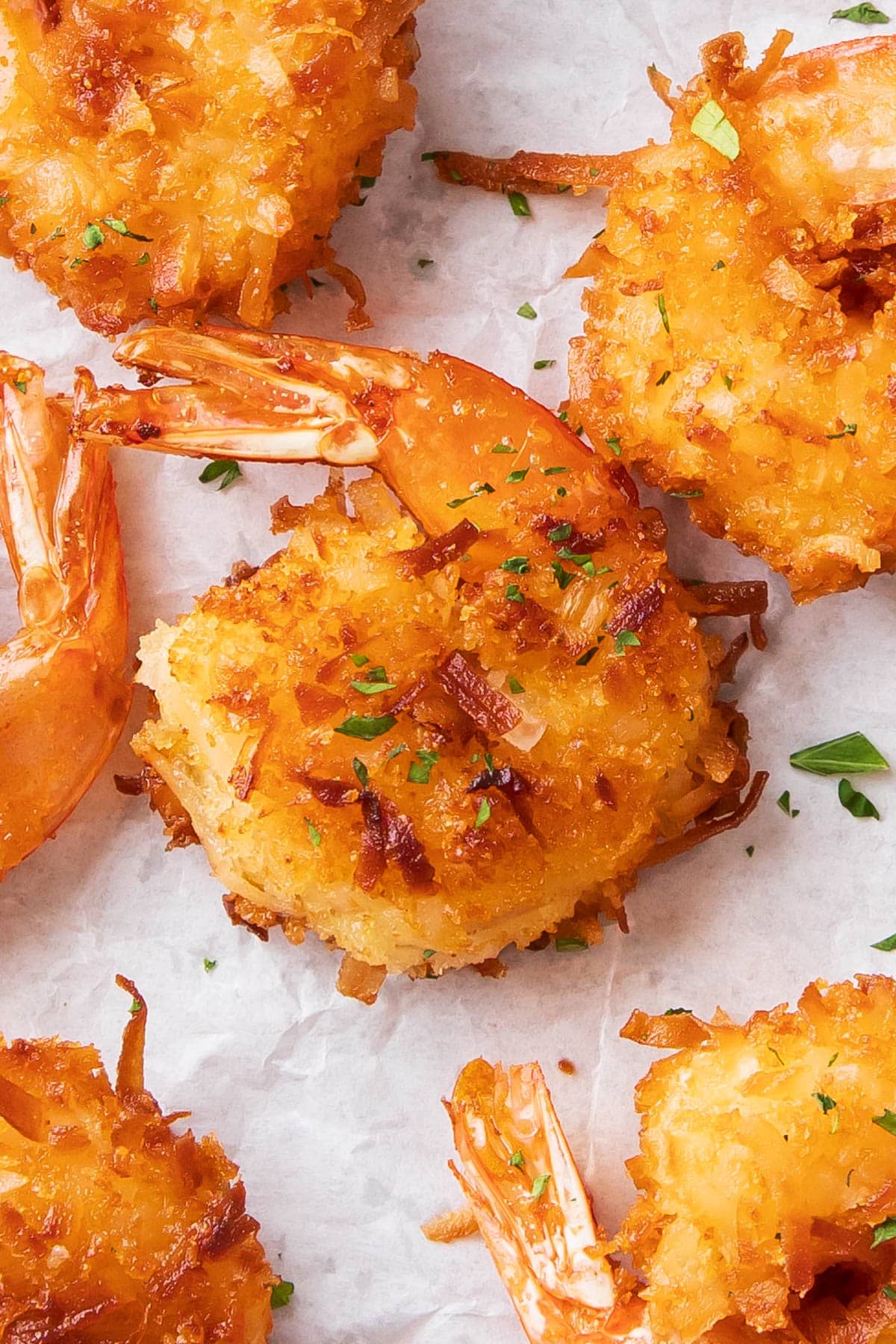 Close up of jumbo shrimp breaded in coconut and seasoned flour with the tails on.
