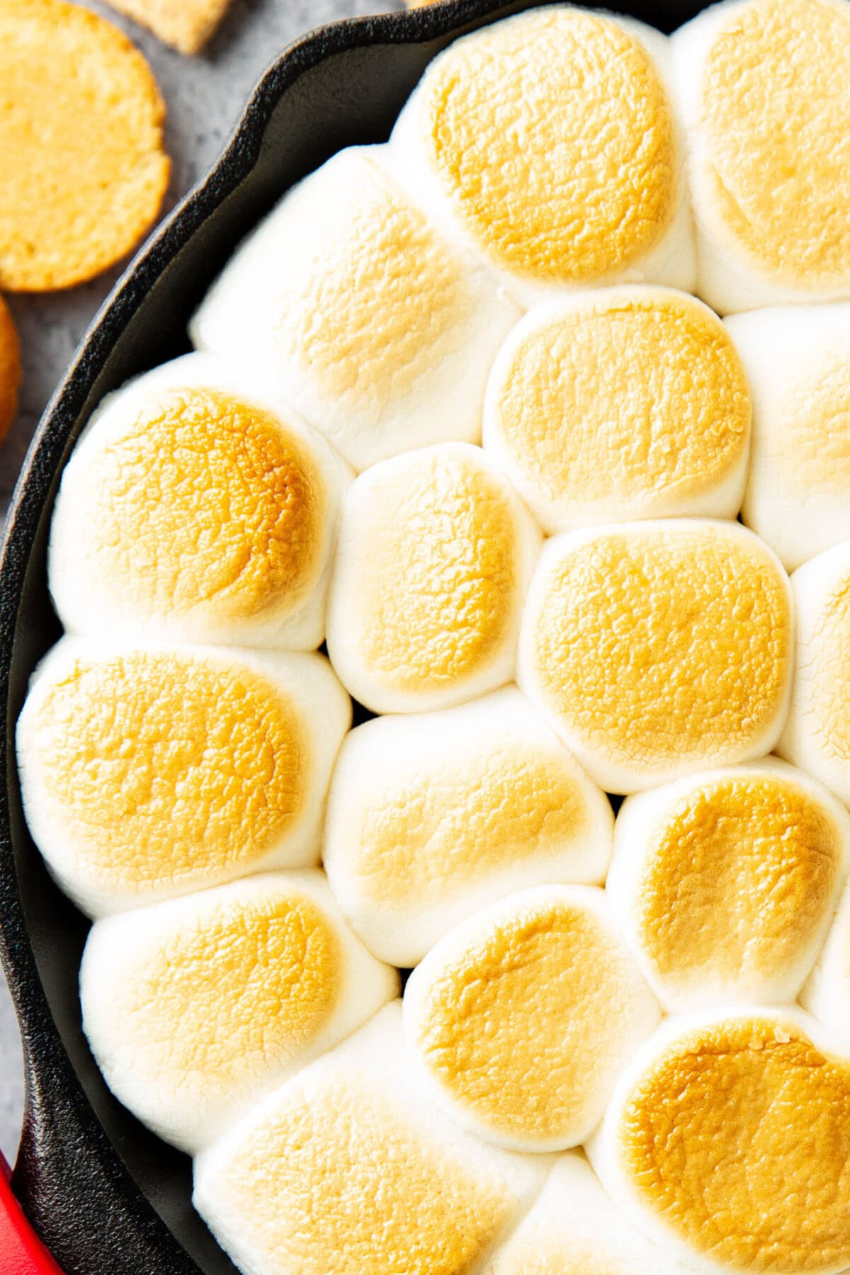 close up of tightly packed layer of toasted, browned marshmallows