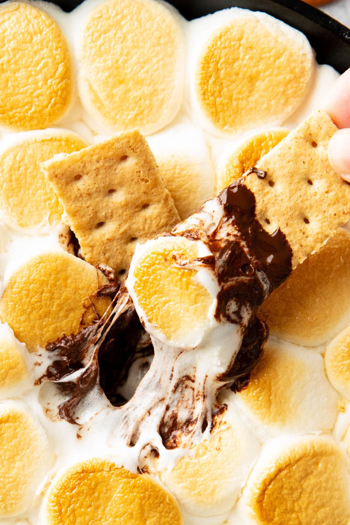 close up of a graham cracker pulling marshmallows and melted chocolate out of this recipe for s'mores dip