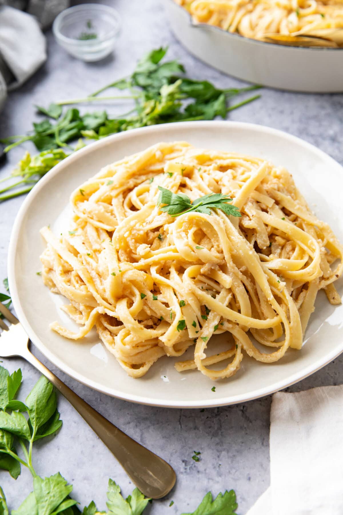 A plate of Alfredo sauce fettuccine served topped with freshly parsley and extra Parmesan