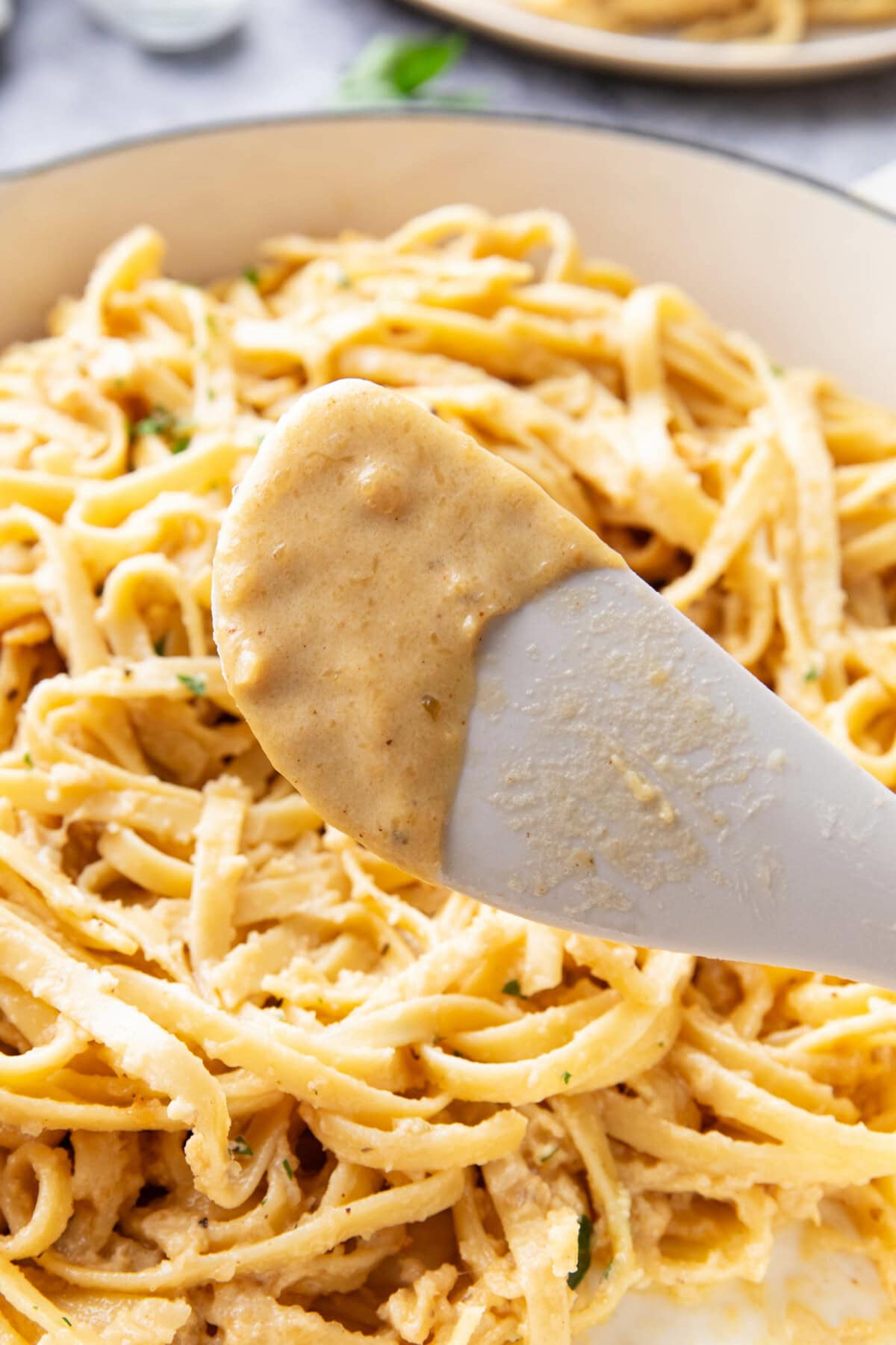 close up of spatula coated in creamy Alfredo sauce recipe
