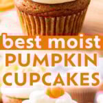 Easy Pumpkin Cupcakes long Pinterest image.
