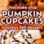 Pumpkin Chocolate Chip Cupcakes long Pinterest image.