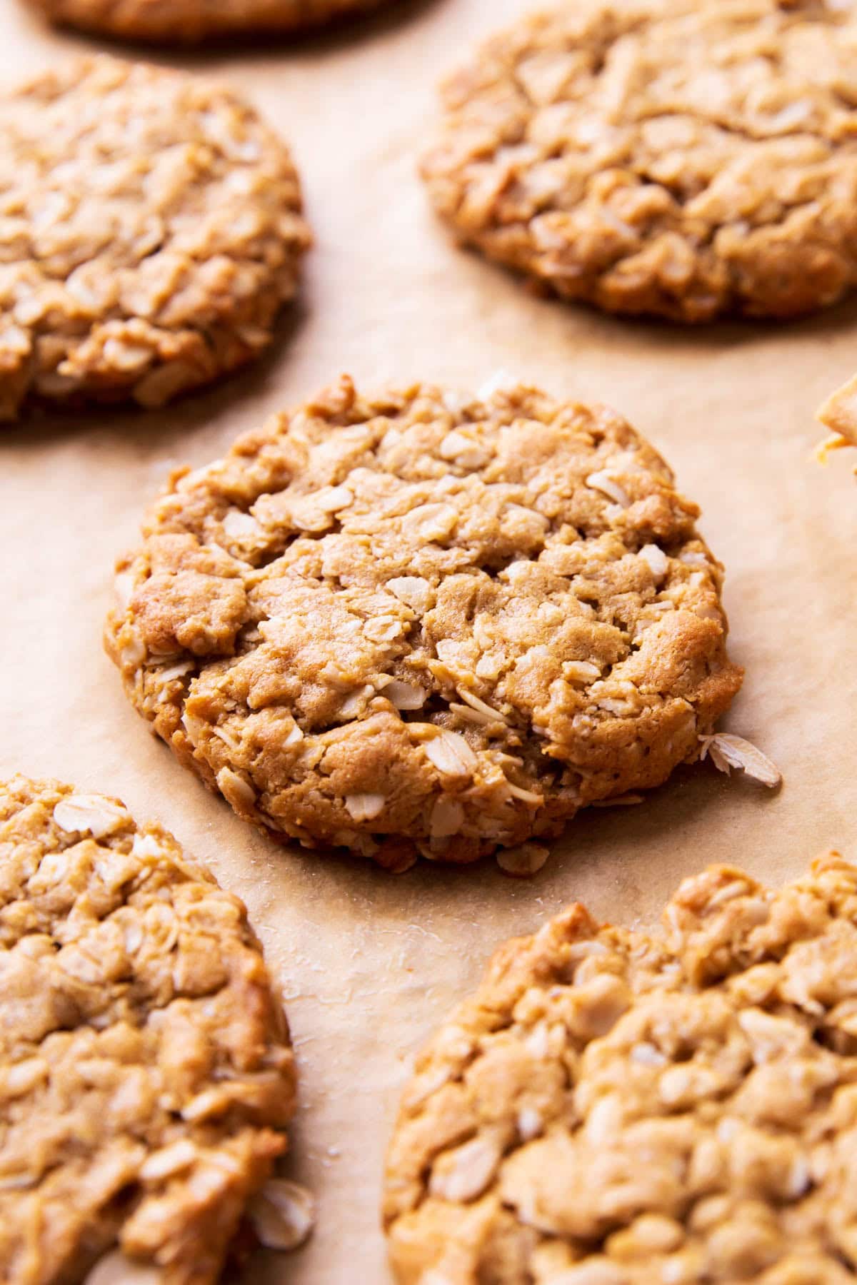 Homemade peanut butter oatmeal cookies cooling on a baking sheet.