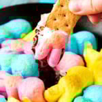 Someone dip a graham cracker into Easter Dip made with Peeps marshmallows and chocolate