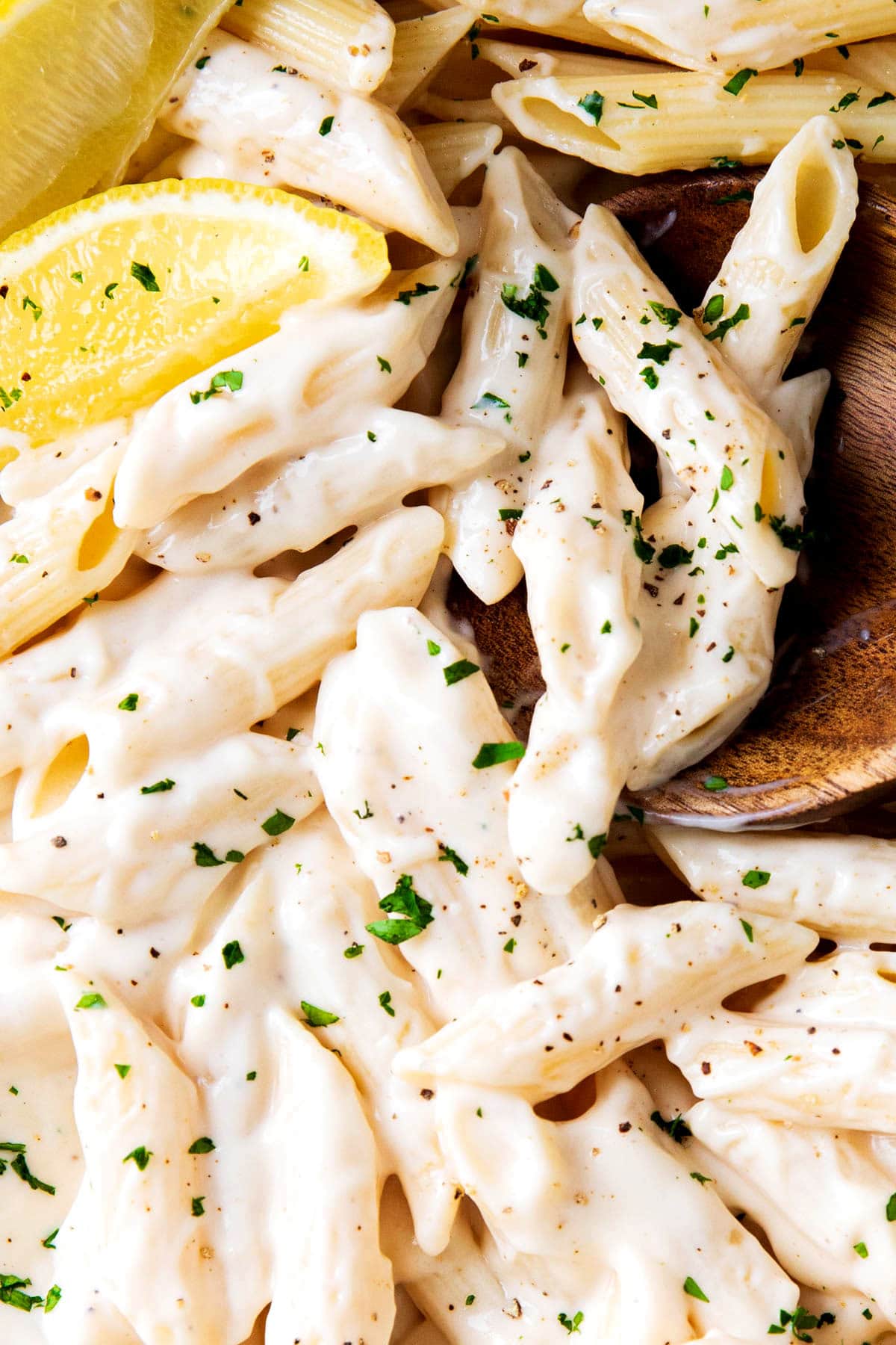 Close up of Penne pasta with Alfredo sauce shows rich, creamy Alfredo sauce enveloping al dente pasta.