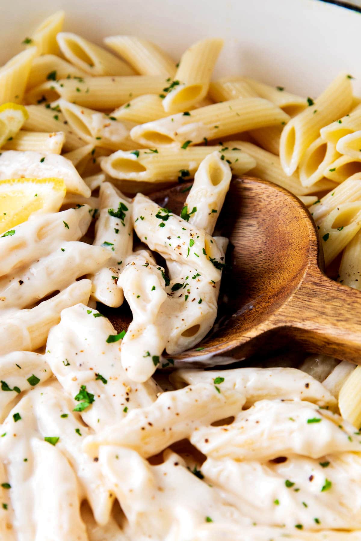Close up of penne pasta and Alfredo sauce topped with chopped cilantro garnish.
