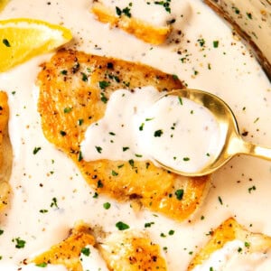 Spooning sauce over creamy garlic and parmesan chicken in a pan with chicken breasts