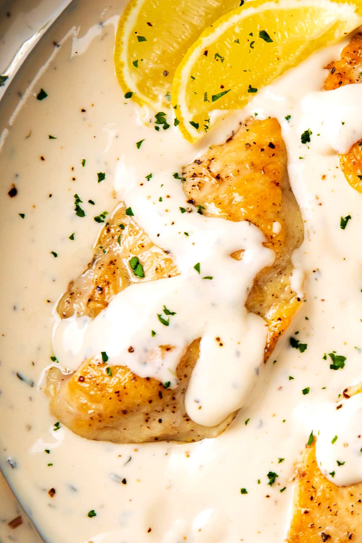 Close up of creamy garlic parmesan chicken with thick sauce poured over pan seared chicken breasts.