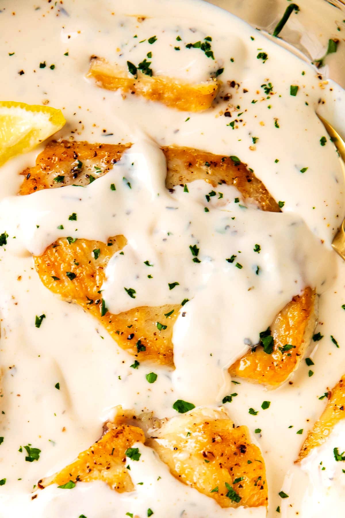 Creamy garlic and Parmesan chicken with juicy chicken and thick, aromatic homemade garlic parmesan sauce.