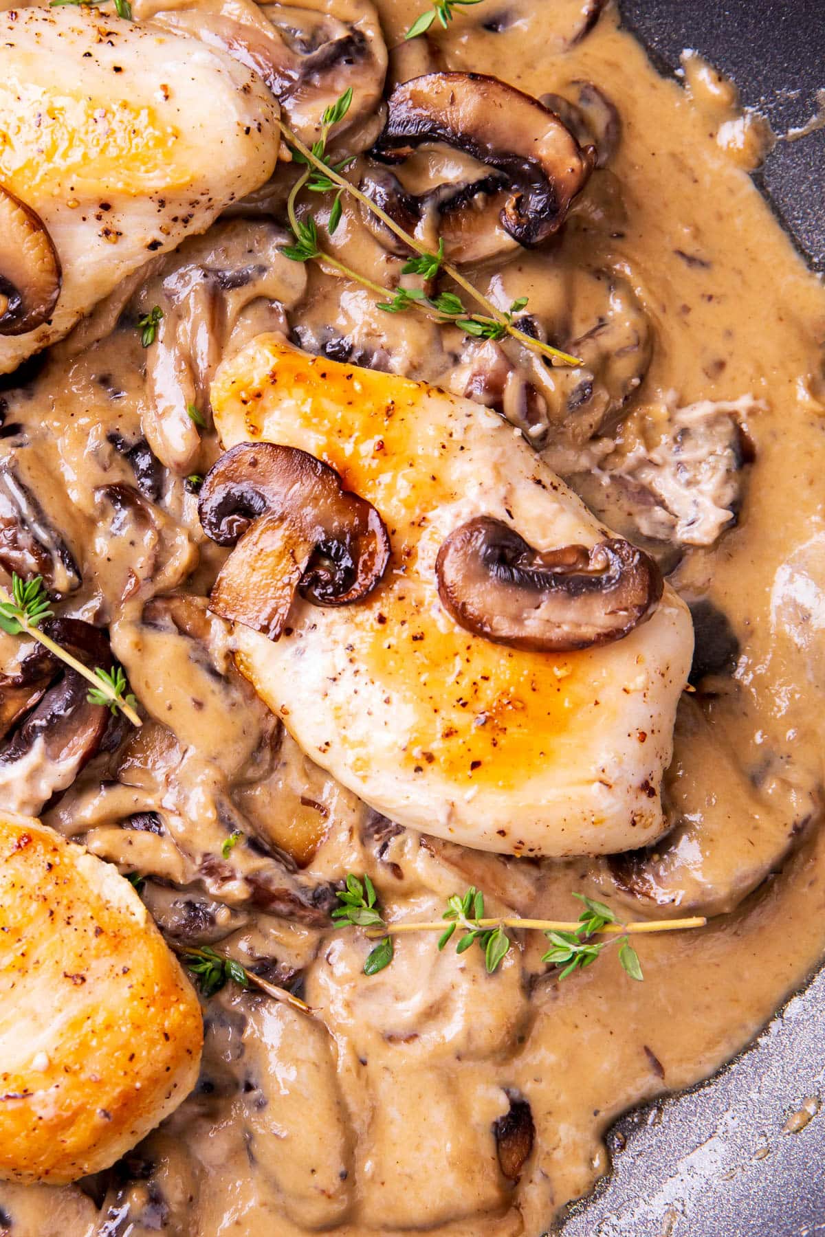 Closeup of this mushroom chicken recipe -- creamy chicken with mushroom sauce garnished with sage.