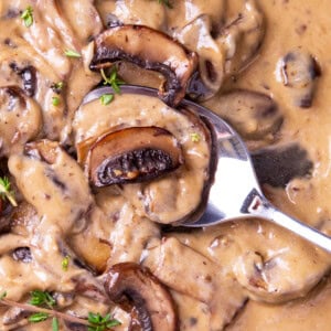 Close up of a spoon filled with Mushroom Sauce to show rich and creamy texture